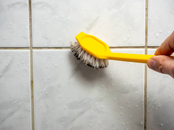 Best Fast Mold Removal  in Doolittle, TX