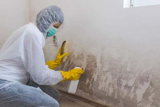 Best Mold Testing  in Doolittle, TX