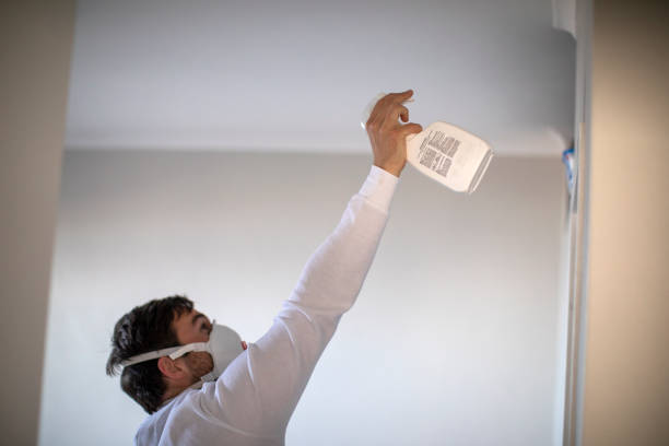 Best Same-Day Mold Removal  in Doolittle, TX