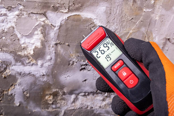 Crawl Space Mold Removal in Doolittle, TX
